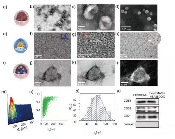1624238545170097558.jpg 微信图片_202106210919252.jpg