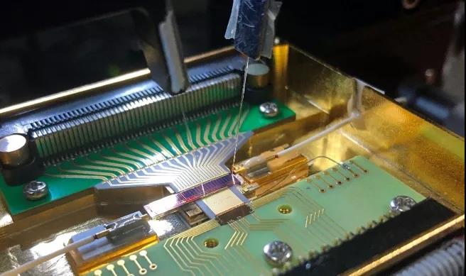 1636358921237024349.jpg 3.jpg